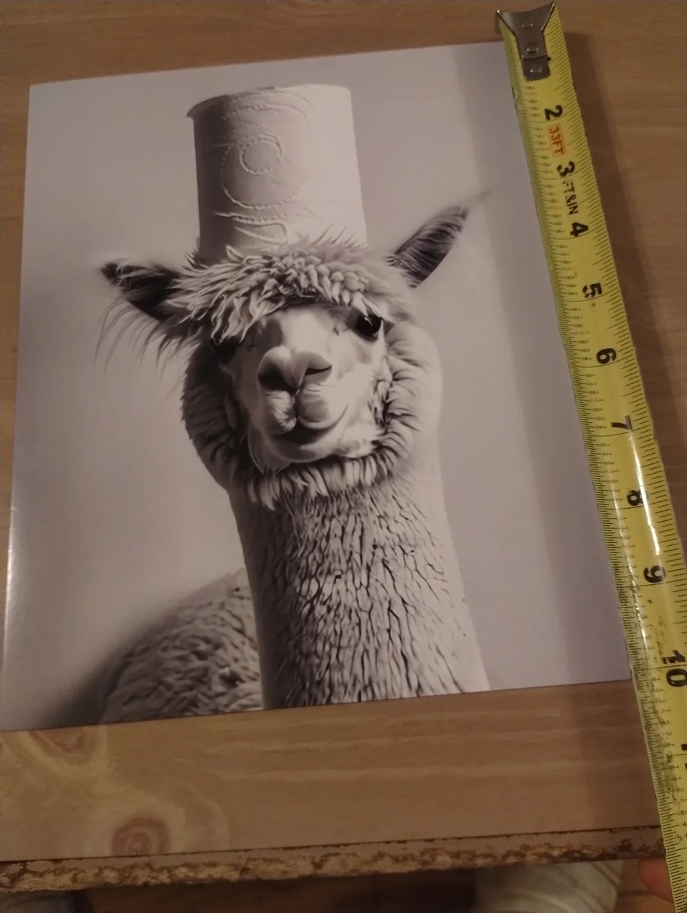 Black & White Llama Wall Art Print Top Hat Animal Photo 8x10 Farmhouse Decor Cut